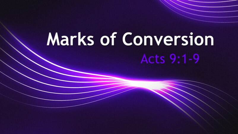 Marks of Conversion