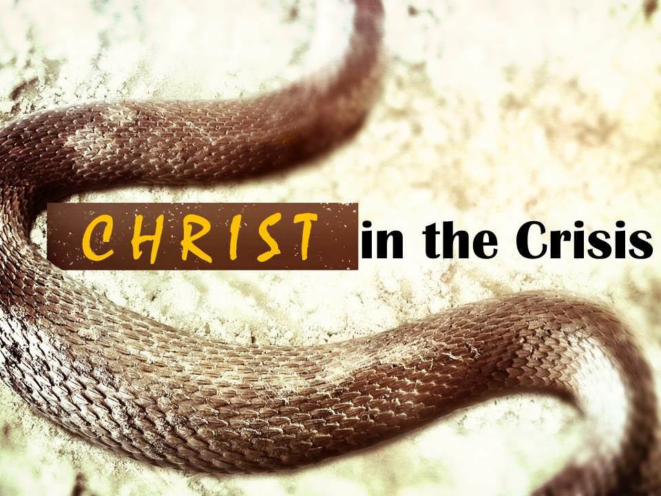 Christ in the Crisis
