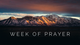 A Call to Pray with Grit and Gratitude
