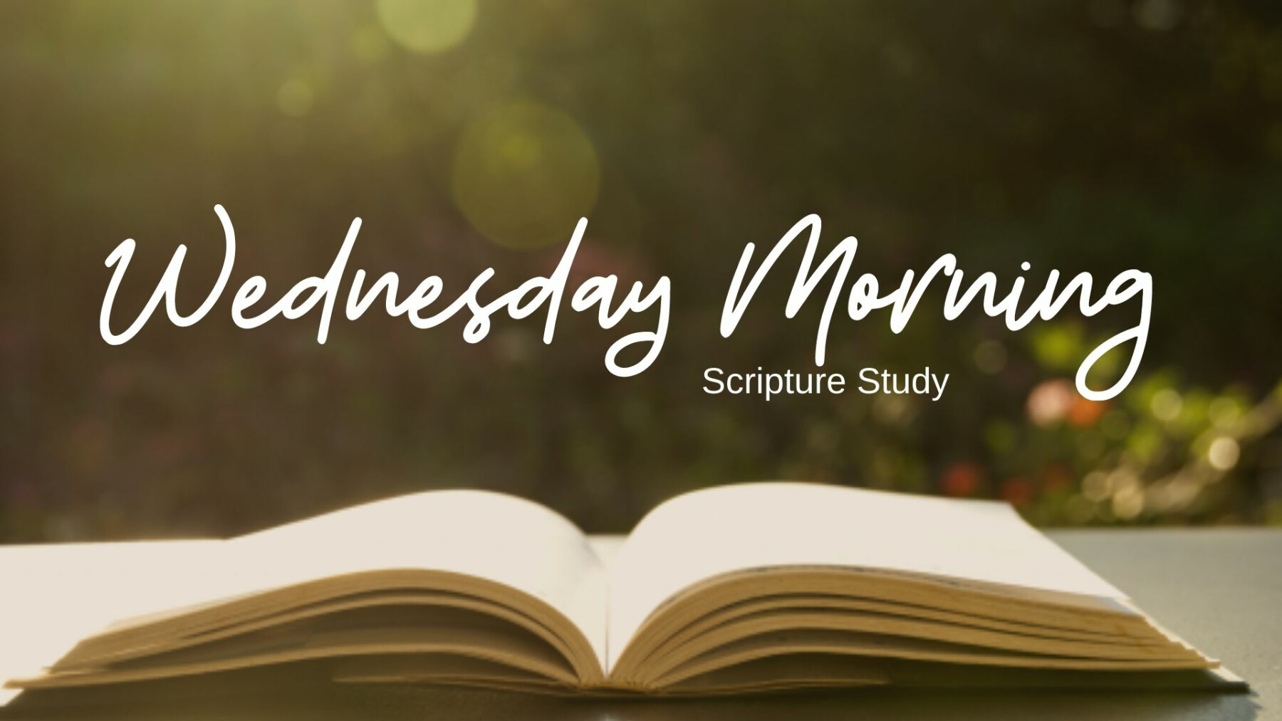 Wednesday Morning Scripture Study
