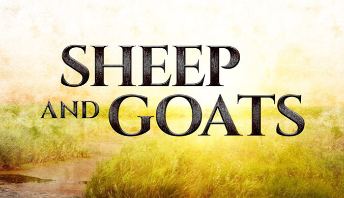 how does a shepherd separate sheep from goats