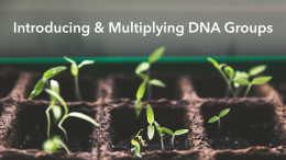Introducing and Multiplying DNA Groups (Part 3)