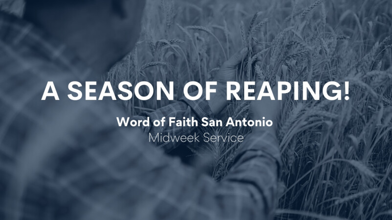 God-Appointed Seasons of Reaping