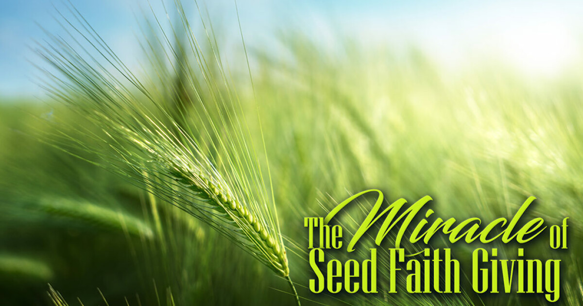 seed faith tours