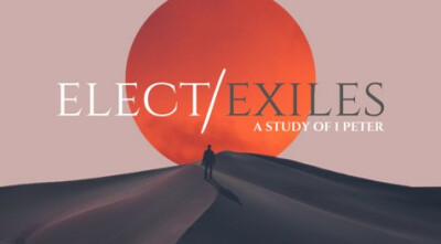Elect/Exiles