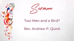 Two Men and a Bird