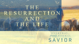 The Resurrection & the Life