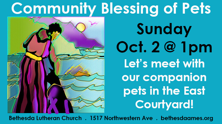 Community Blessing of Pets