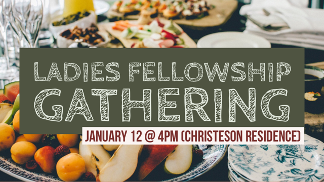 Ladies Fellowship Gathering