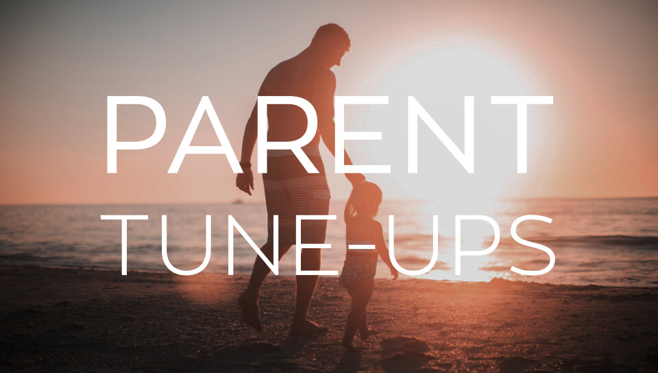 Parent Tune Up - Temperment Types