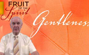 Fruit of the Spirit | Gentleness