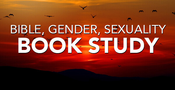 Bible, Gender, Sexuality Book Study