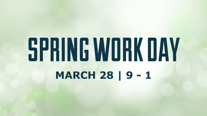 Young Adults Spring Workday