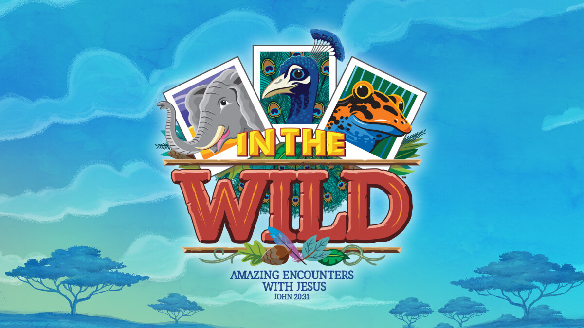 In the Wild VBS 2019