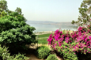 Blog - Israel Day 5 - Sea of Galilee