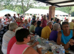 Chicago Picnic 2014_3