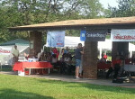 Chicago Picnic 2014_4