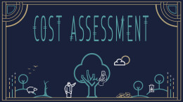 Cost Assessment