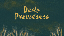 Daily Providence