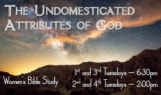 Ladies Bible Study 6:30 - 1st Tuesdays, 3rd Tuesdays 6:30 PM