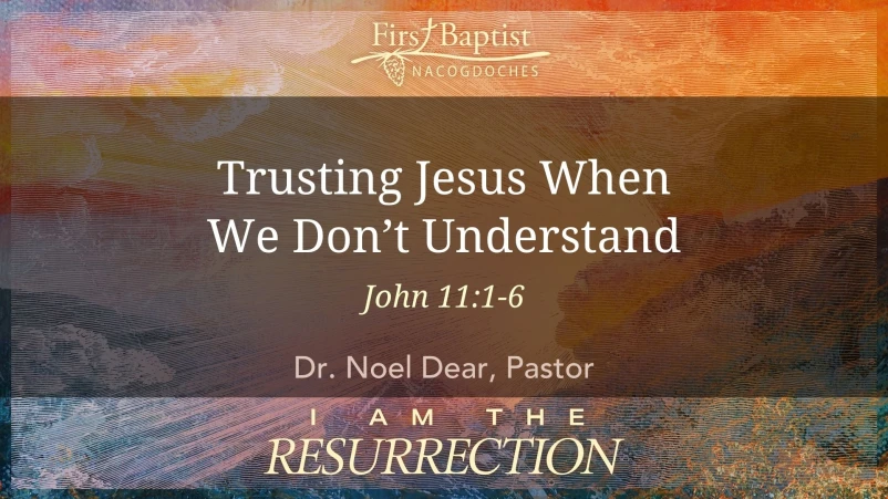Trusting Jesus When We Don't Understand