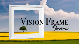 Vision Frame: Overview