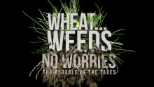 Wheat... Weeds... No Worries