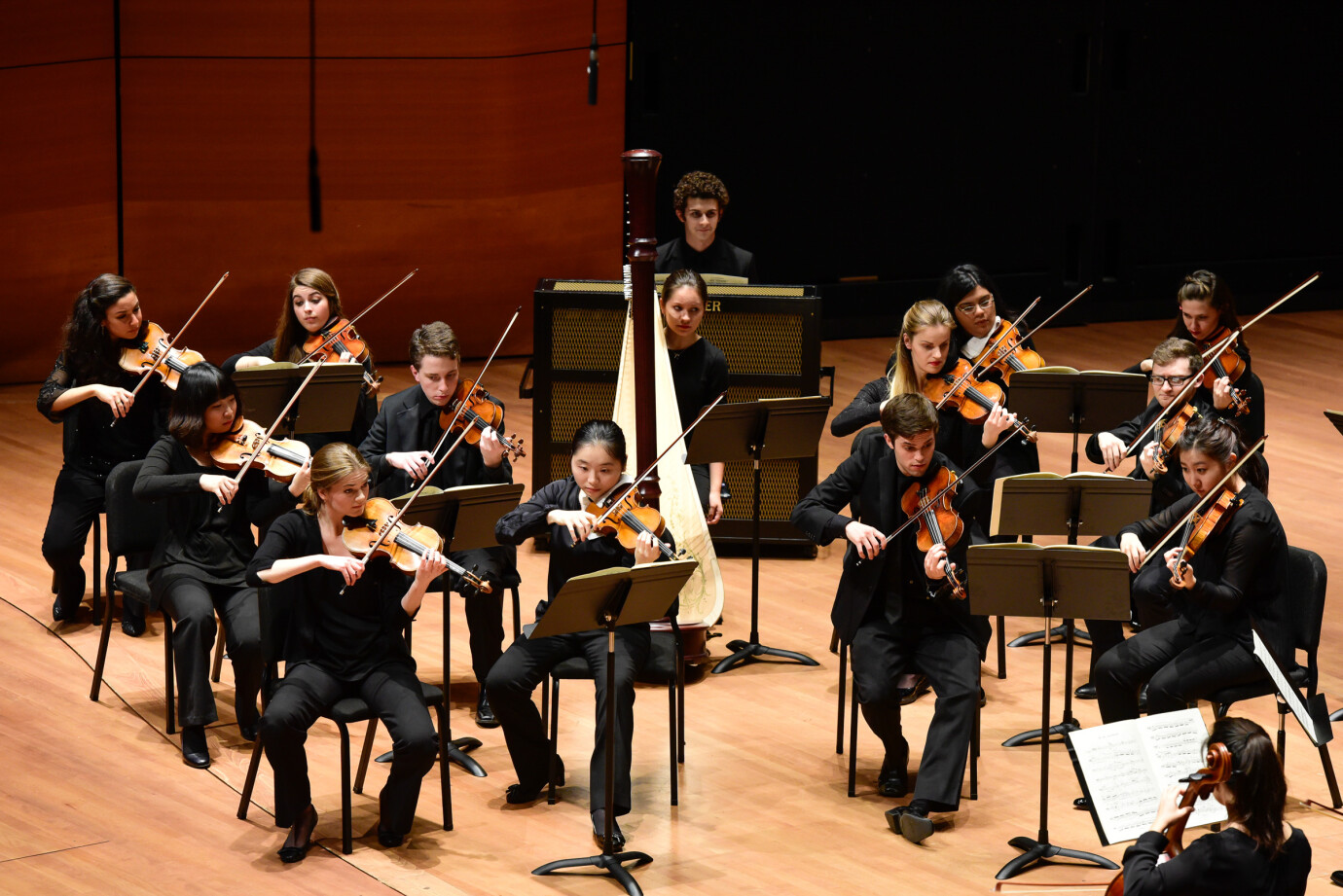 Juilliard Chamber Orchestra 