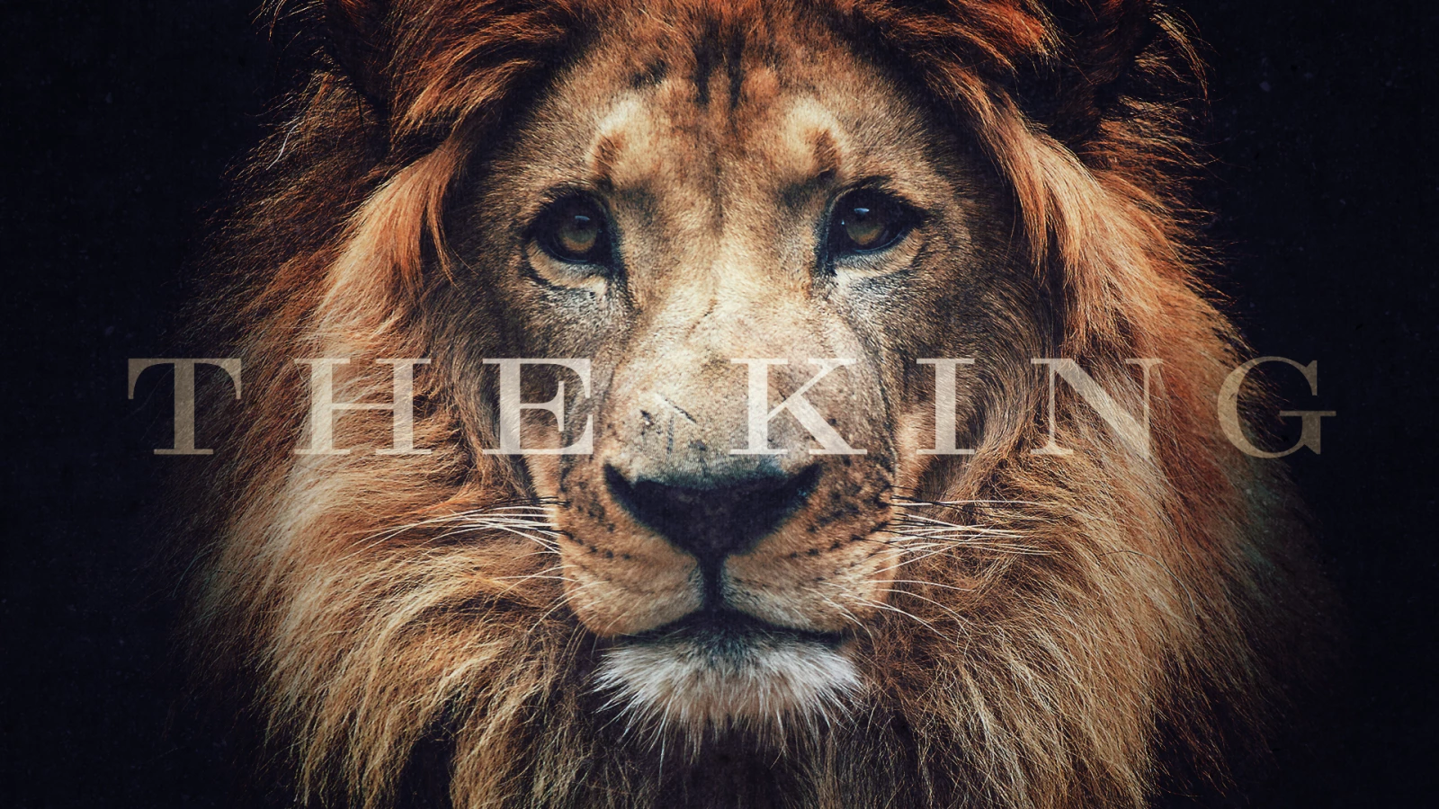 The King