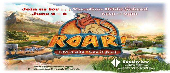 Vacation Bible School-ROAR Life is Wild, God is Good