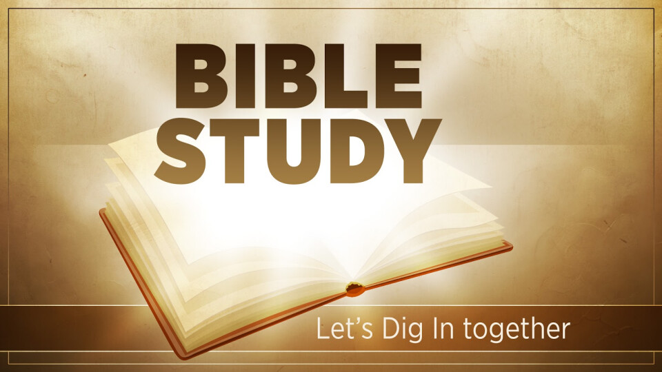 Faith Alive Bible Study