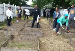 TS WS CC Gardening 45