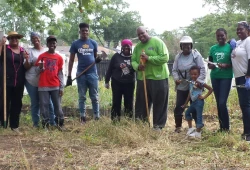 TS WS CC Gardening 44