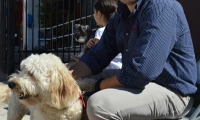 CC Pet Blessing 2015