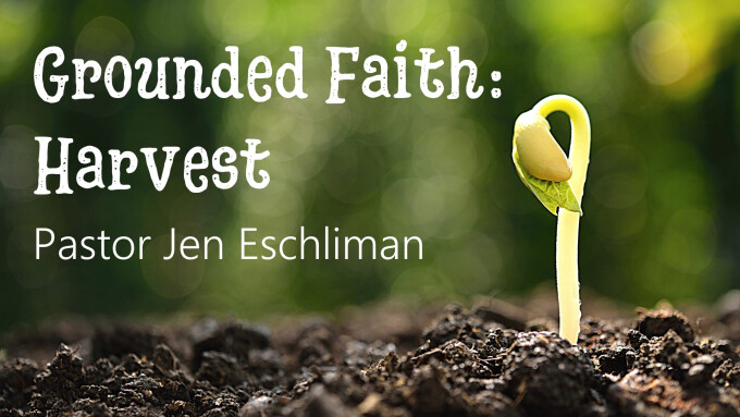 Grounded Faith: Harvest
