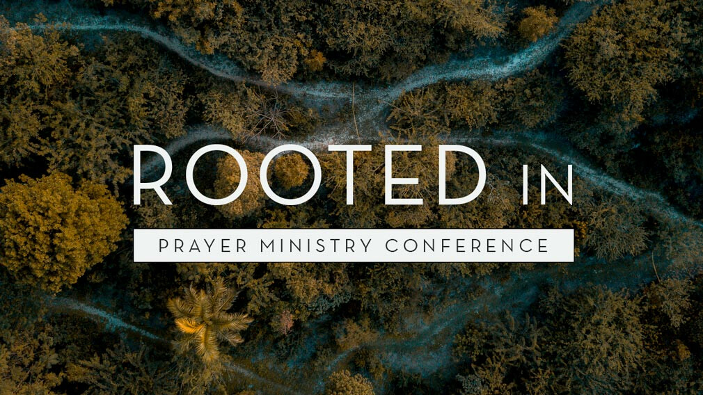 Rooted In
