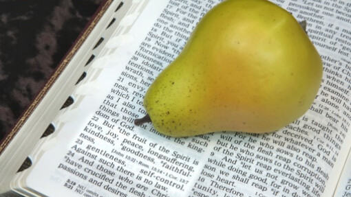 The Fullness of God