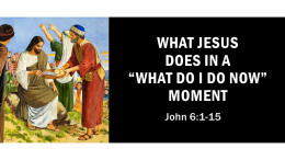 What Jesus does in a “what do I do now” moment