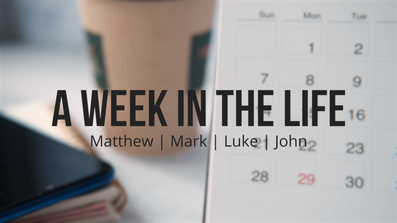 A Week in the Life