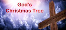 God's Christmas Tree