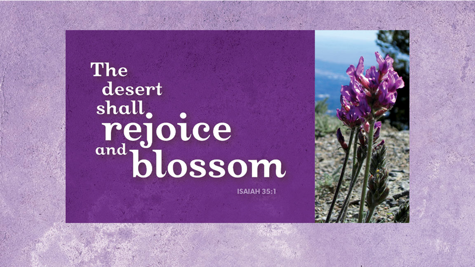 Live stream of 8am Sunday Worship, December 11