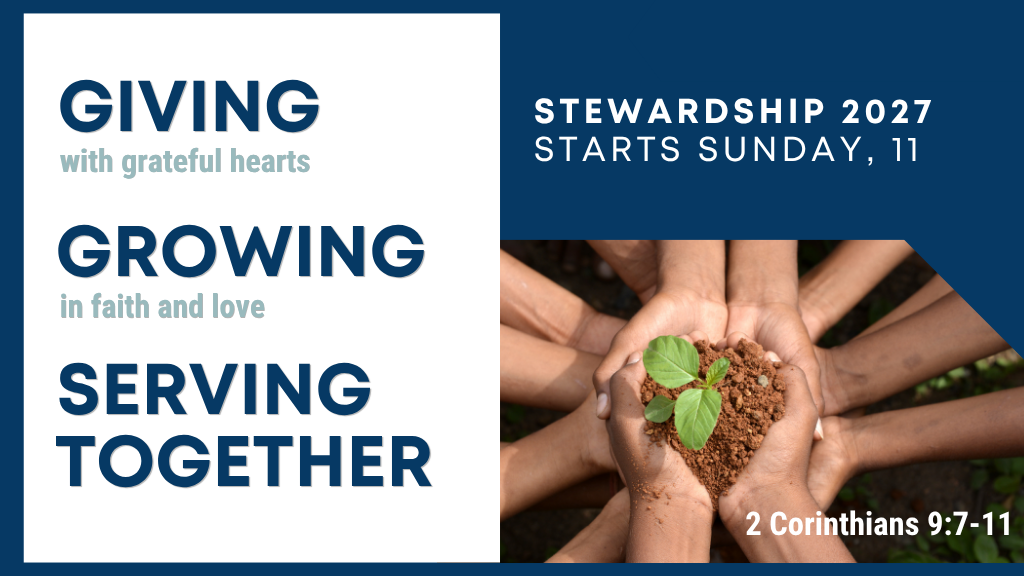 Stewardship 2027