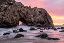 Working in the Vineyard