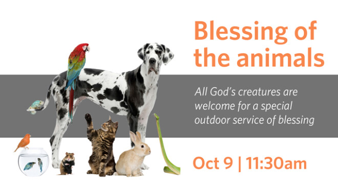 11:30am Blessing of the Animals