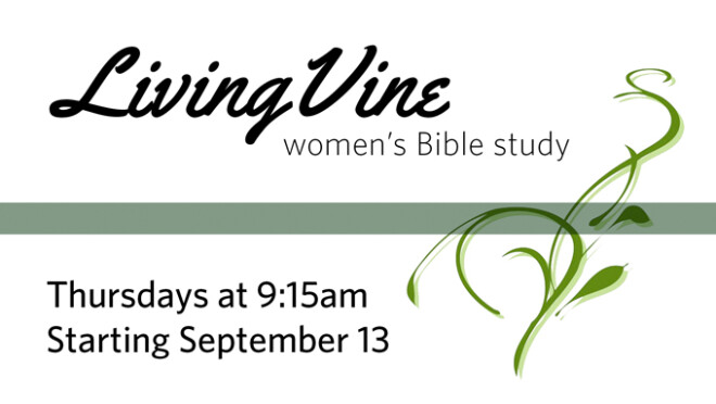 Living Vine Women's Bible Study
