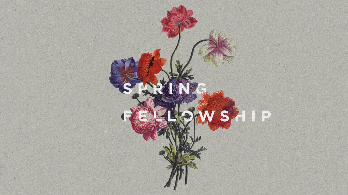 Ladies Spring Fellowship