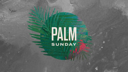 Palm Sunday: The Last Week