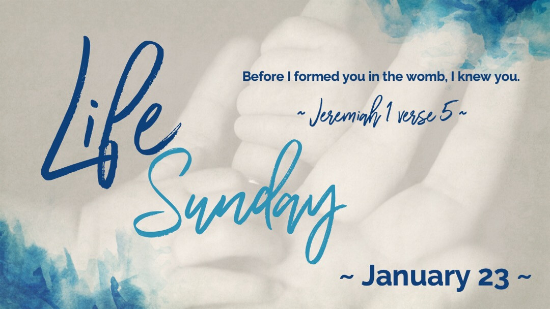 Life Sunday // January 23