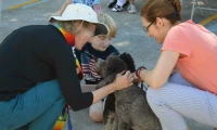 CC Pet Blessing 2015_3
