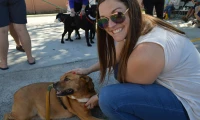 CC Pet Blessing 2015_4
